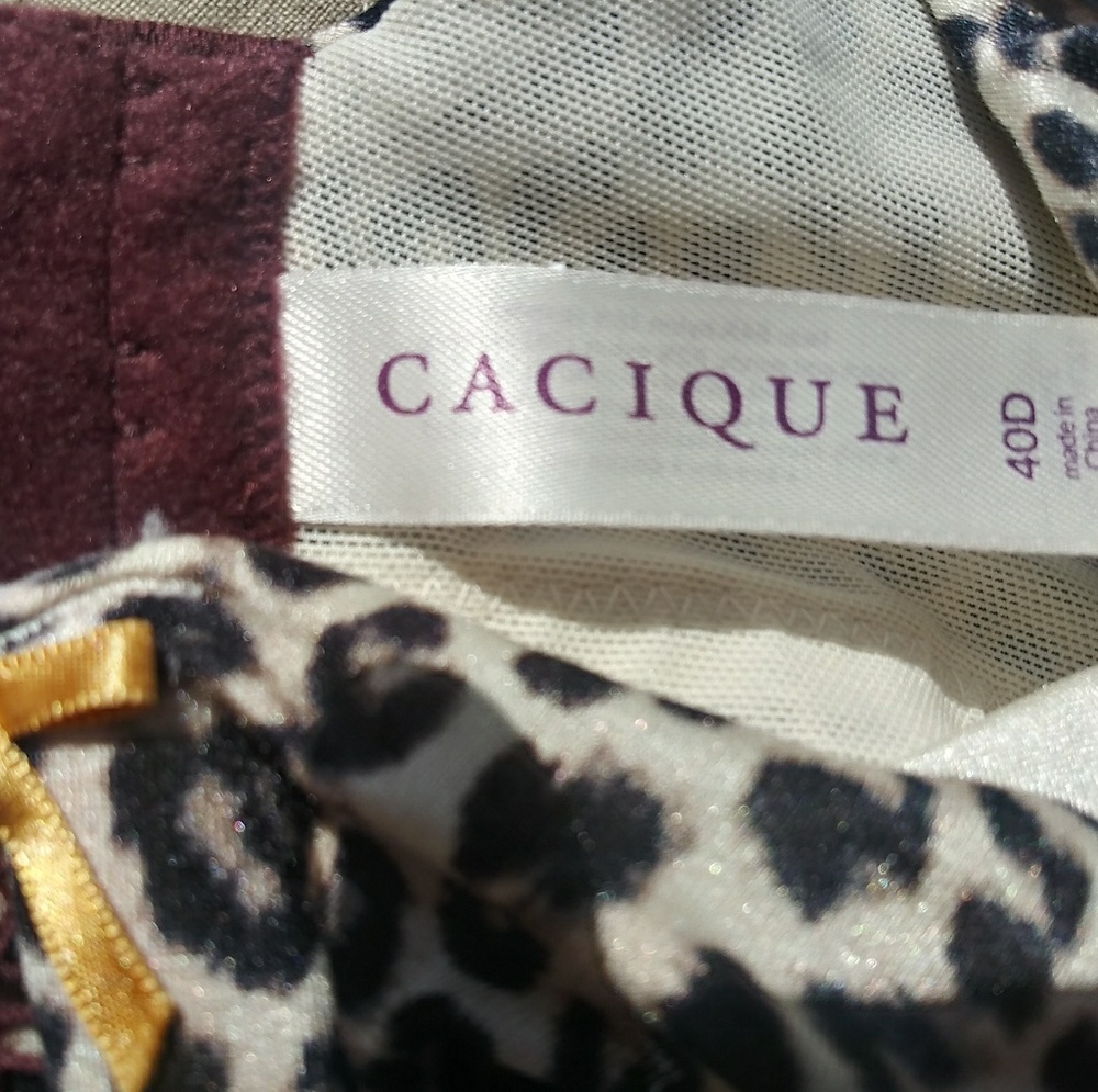 Lane Bryant 40D Bra - Picture 2 of 2